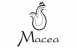 Macea Macea