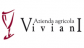 Viviani Viviani